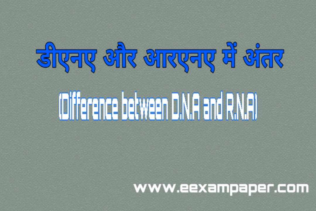 डीएनए और आरएनए में अंतर बताइए,डीएनए और आरएनए में क्या अंतर है,डीएनए और आरएनए में अंतर लिखिए,डीएनए और आरएनए हिंदी में अलग,डीएनए परिभाषा in hindi,आर एन ए की खोज किसने की थी,डीएनए क्या है,rna के कार्य,डीएनए की खोज,डीएनए फुल फॉर्म इन हिंदी,टी आरएनए संरचना,rna के कार्य rna क्या है,रना की खोज किसने की,आर एन ए का फुल फॉर्म,आर एन ए का पूरा नाम बताइ,डीएनए और आरएनए में अंतर, डीएनए क्या होता हैं? आरएनए क्या होता हैं? आरएनए और डीएनए में अंतर, डीएनए के प्रकार, डीएनए की खोज किसने की थी? आरएनए की खोज किसने की थी?