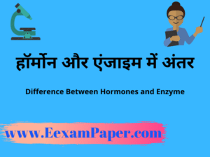 एंजाइम और हार्मोन में अंतर, हार्मोन हिंदी में ,हार्मोन के प्रकार हार्मोन्स और एंजाइम में अंतर, Difference between harmones and enzyme, harmones aur enzyme me antar, enzyme kise kahte hain, हार्मोन और एंजाइम में अंतर बताइए, हारमोंस एवं एंजाइम में अंतर, हारमोंस तथा एंजाइम में अंतर बताइए, हार्मोन क्या है हिंदी में, हार्मोन किसे कहते हैं, एंजाइम एंड हार्मोन में अंतर, harmons kya hai hindi me, हार्मोन और एंजाइम के बीच अंतर, एंजाइम और हार्मोन के बीच का अंतर, एंजाइम और हार्मोन में क्या अंतर होता है?हार्मोंस तथा एंजाइम क्या है?हार्मोन्स और एंजाइम में अंतर, Difference between harmones and enzyme