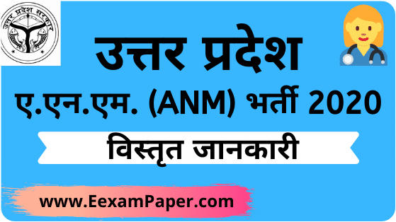 anm vacancy in up 2019 20, anm vacancy in up, uphealth up nic in anm vacancy, anm gnm vacancy in up, uphealth up nic in anm vacancy, up nhm staff nurse vacancy, up nrhm recruitment 2020, nrhm gov in vacancy, anm recruitment in up, up nrhm vacancy, up anm online form, anm vacancy in up, up anm vacancy, up anm vacancy 2020, up nhm anm vacancy 2020, up anm, up anm, anm vacancy 2020