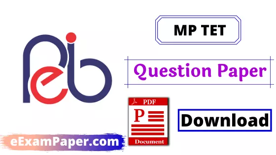 on-white-background-written-mp-tet-previous-year-question-paper-in-hindi